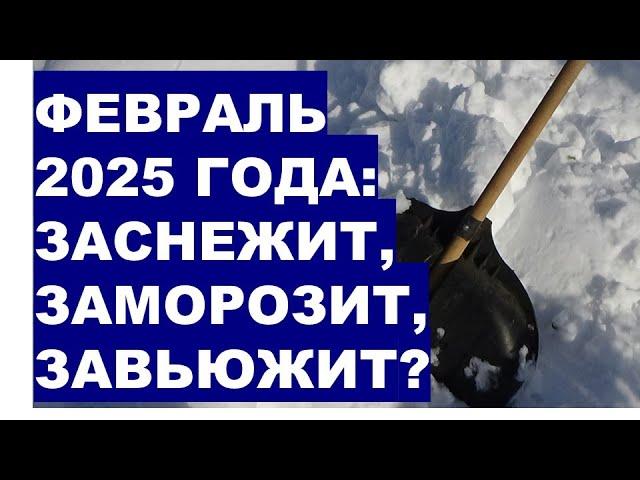 ФЕВРАЛЬ 2025? Начнется ли зима с вьюгой, снегом и морозами?