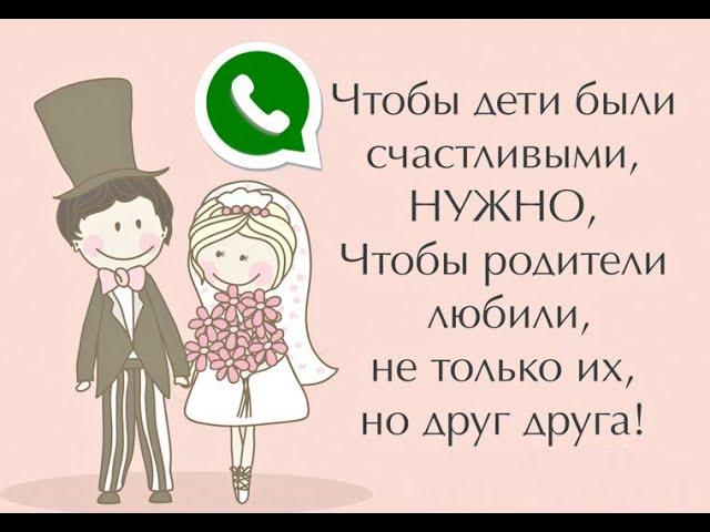 Что такое статус в WhatsApp – для чего нужен, как установить, удалить, использовать