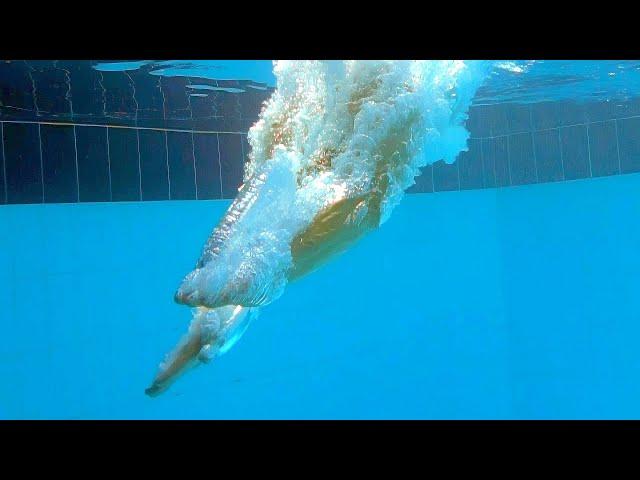 Ultra High speed headfirst dive - 1 second in one minute - Hi-speed camera + artificial intelligence