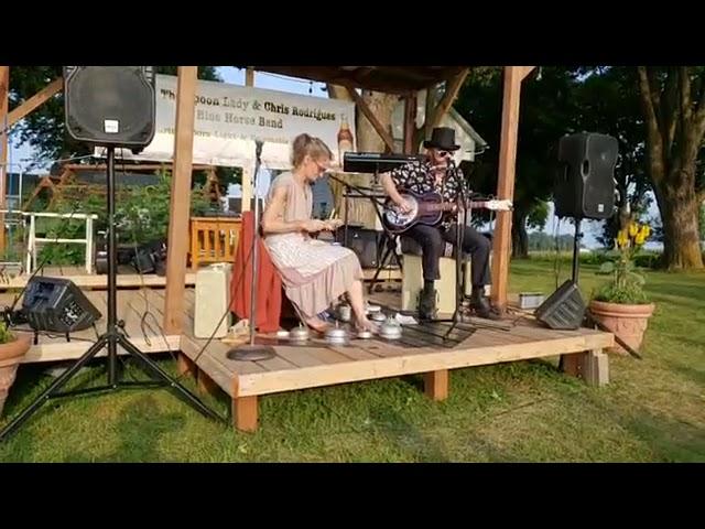 Abby the Spoon Lady and Chris Rodrigues performing Mr. Man at Brachtstock 2018