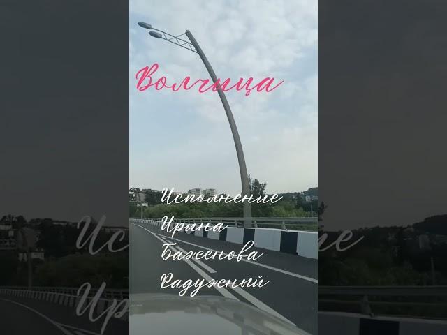 Волчица! #новости #музыка #баженова#шансонгода #сво#Россия#Победа