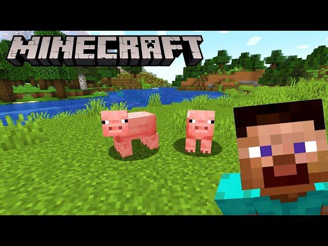 | | LET'S PLAY MINECRAFT | |