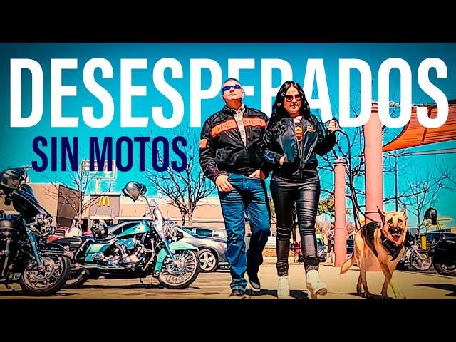 Desesperados y Sin Motos vamos a Agencia Harley Davidson a mirarlas