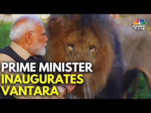 PM Modi Inaugurates Vantara Wildlife Rescue, Rehabilitation & Conservation Centre In Gujarat | N18V