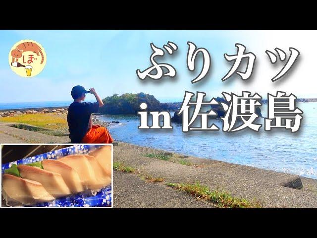 bocchi's trip to Sado Island[Japanese style izakaya at camp]