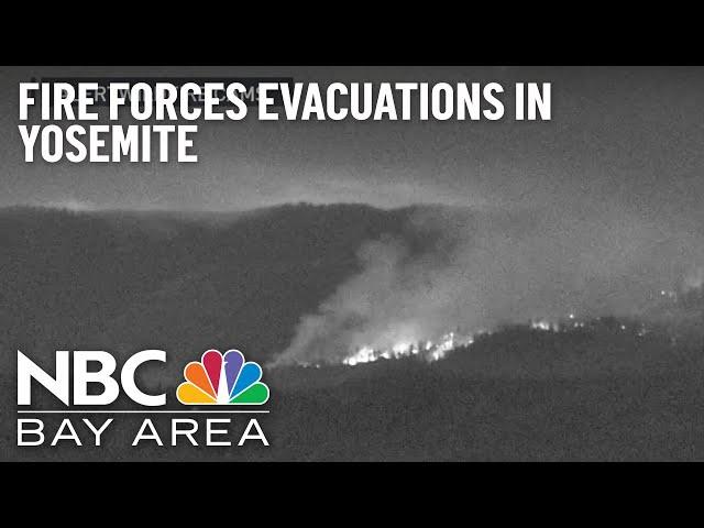 Wildfire Forces Evacuations in Yosemite National Park's Mariposa Grove