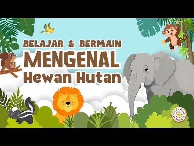 Belajar dan Bermain Mengenal Hewan Hutan | 10 Nama Hewan Hutan