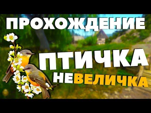 ПТИЧКА-НЕВЕЛИЧКА - Kingdom Come: Deliverance [Прохождение]