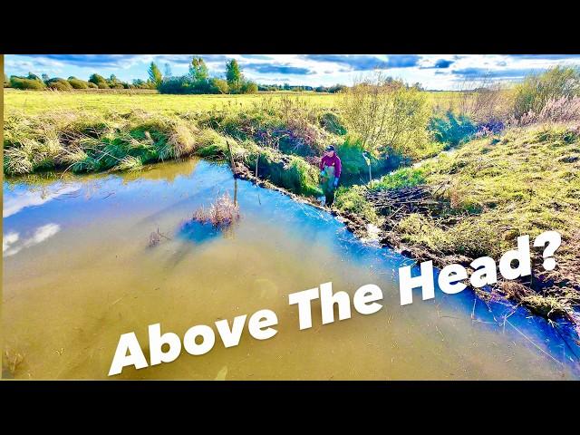 Strange Beaver Dam Moves Before Collapse!