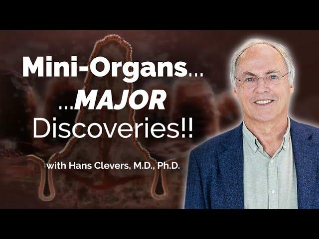 Organoids to Model Human Diseases with Hans Clevers - Sanford Stem Cell Symposium 2023