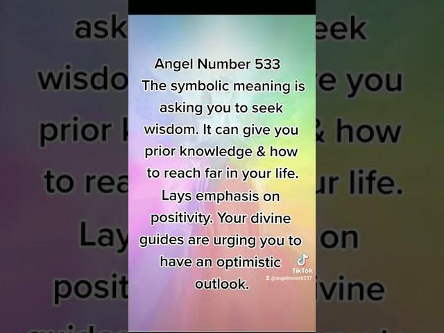 ANGEL NUMBER 533 NAMASTE  SEE YA ON THE FLIP SIDE 