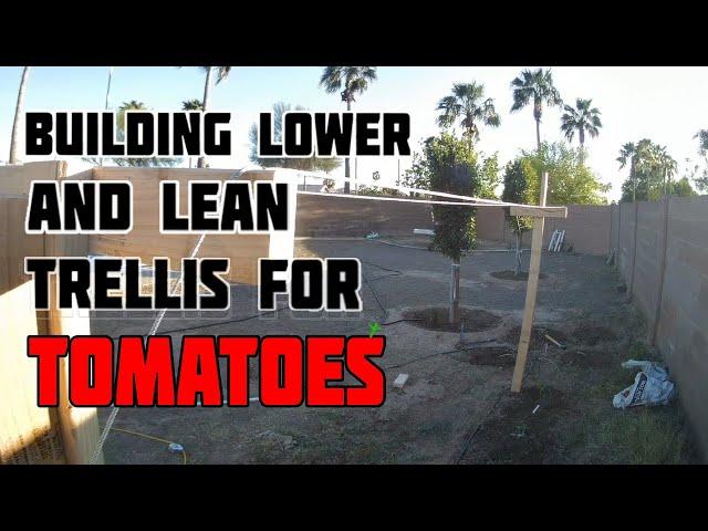 Building Nature's Always Right Lower and Lean Tomato Trellis...LESS THAN $60