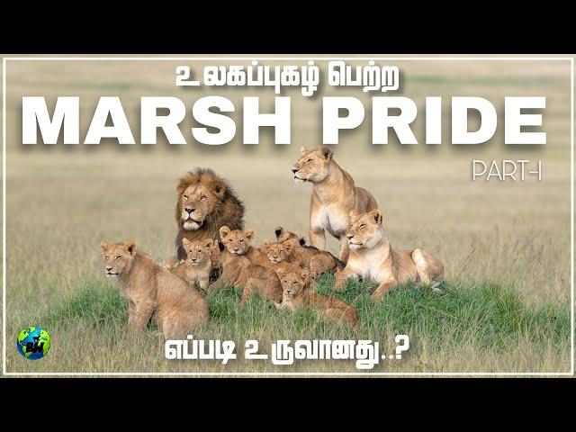 Marsh pride முதன்முதலில் எப்படி உருவாக்கப்பட்டது? | Marsh lions pride | Part-1 | Tamil | BioWorld