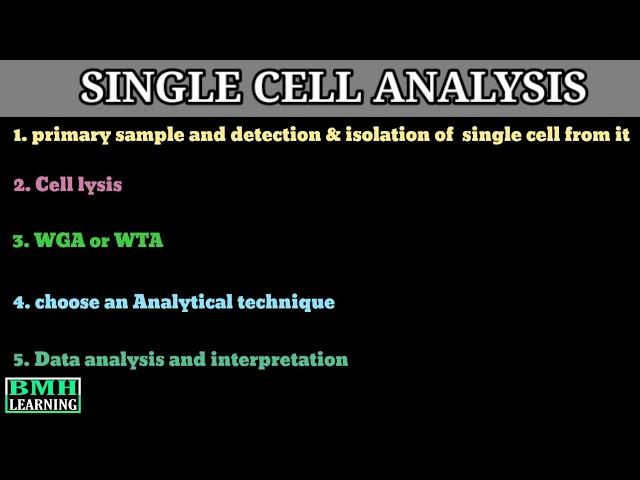 Single Cell Analysis | Single Cell RNA Sequencing |