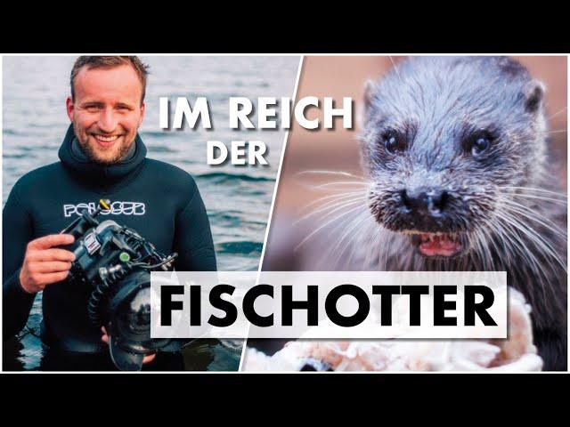 Tierfotografie extrem: Mit der Kamera im Reich des Fischotters