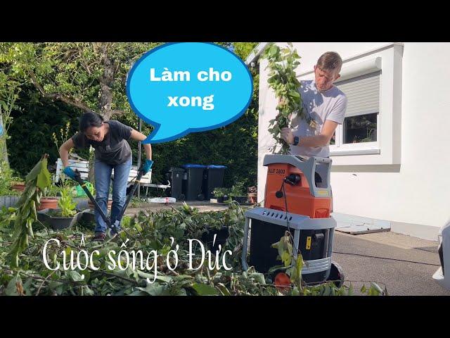 Chuyện gì xảy ra nếu làm ồn vào ngày nghỉ ở Đức? Thôn quê nước Đức | Cuộc sống ở Đức