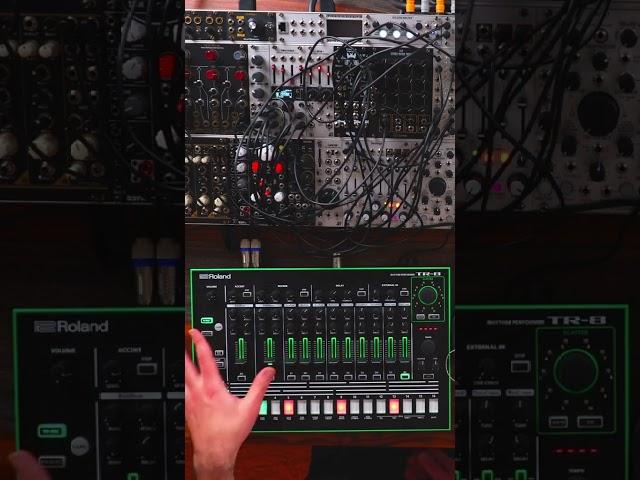 Why not update to the TR-8S? #tr8 #tr8s #drummachine #drummachines #shorts