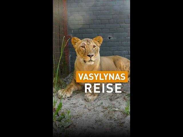 Die lebensverändernde Reise von Vasylyna | VIER PFOTEN