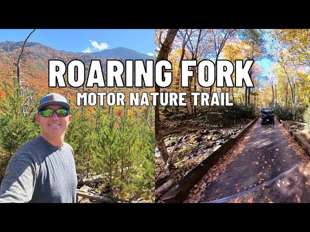 Fall Drive Through Roaring Fork Motor Nature Trail | Black Bears, Short Hikes & Ely’s Mill