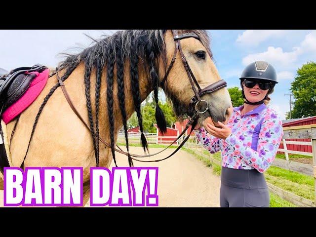 A REAL Day in the Life at Free Spirit Equestrian! Updates, Chores, Feeding, & More