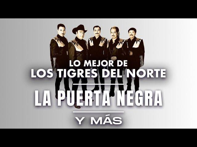 Lo Mejor De Los Tigres Del Norte