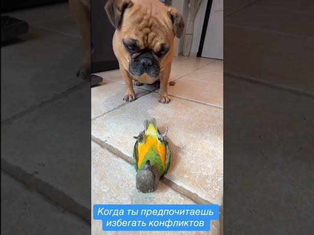 Способ