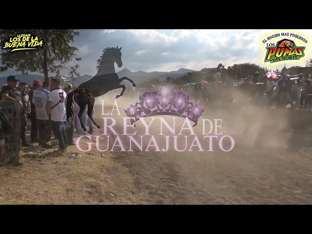 La Reyna de Guanajuato Los Pumas del Norte 2024