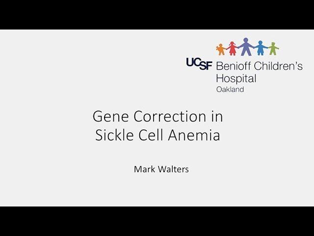 Gene Correction in Sickle Cell Anemia - Mark Walters