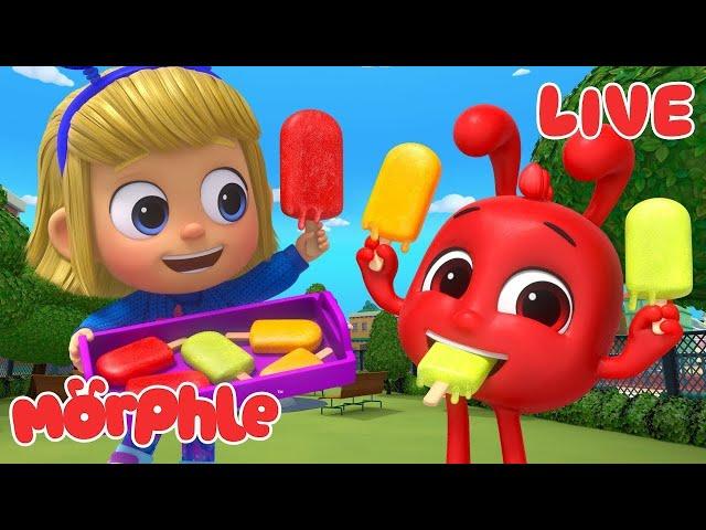  LIVE Morphle Marathon! | 24/7 Cartoons for Kids | Color Adventures and Fun Stories 