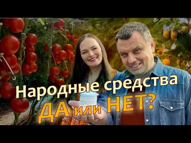 ПОМОГАЕТ или ВРЕДИТ? Народные средства защиты растений
