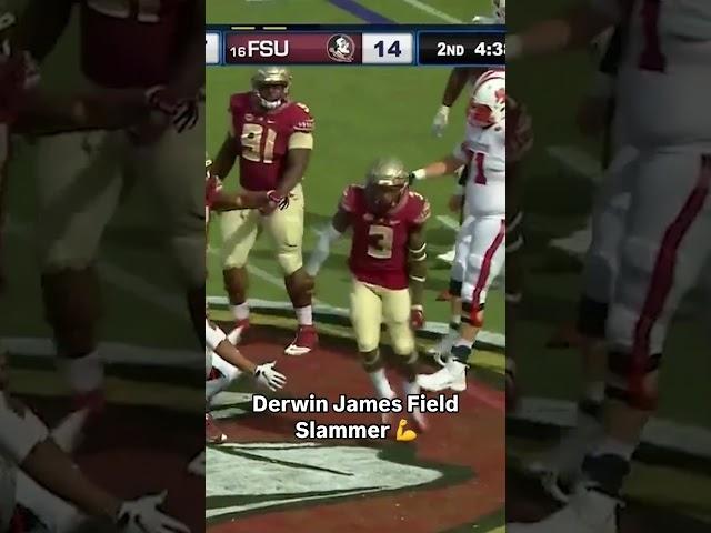 Derwin James = BEAST  #floridastate #seminoles  #accfootball #football #collegefootball  #cfb