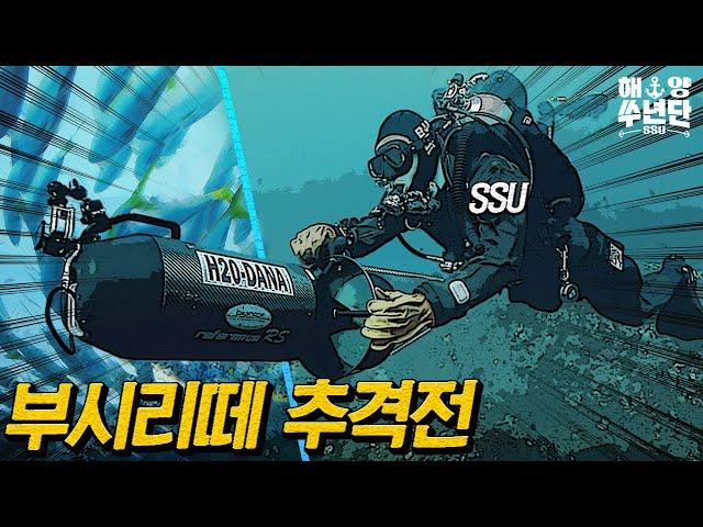 비밀병기를 획득한 SSU 부시리 떼와의 추격전! | 해양쑤년단 EP.12