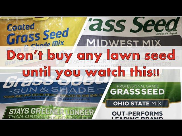 What to look for when buying grass seed