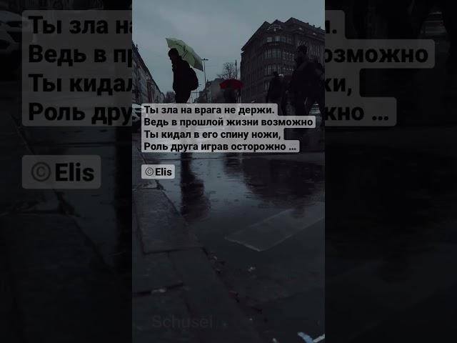 Никто не знает, что было в прошлой жизни. #поэзия #поэзия21век #стихиожизни #дождь #реинтеграция