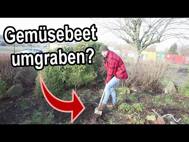 Gemüsebeet umgraben - Sinnvoll, oder schädlich? Die Antwort hier!