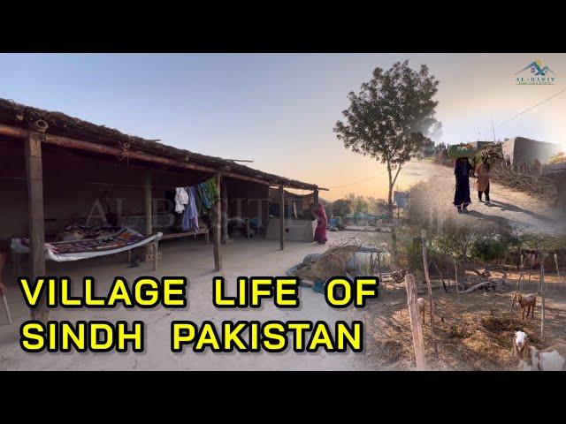 Pakistani Sindhi Women Morning Routine Life In Village II Village Life In Sindh