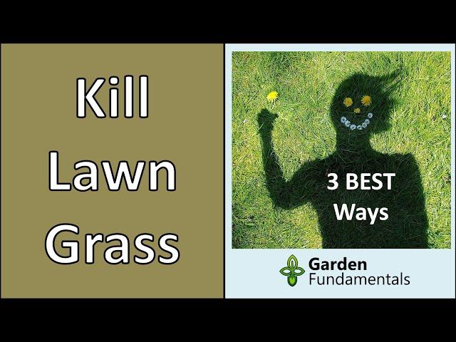 How to Kill Lawn Grass for a New Garden   3 Best Methods Compared