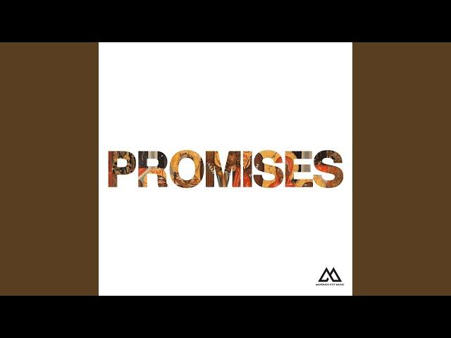 Promises (Radio Version)