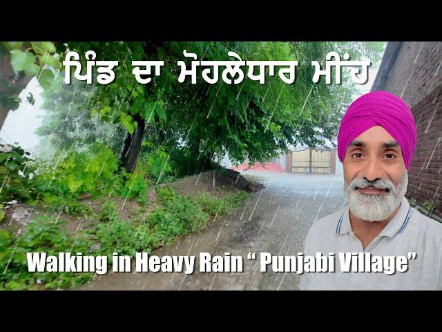 Monsoon Rain Walk in a Village of Punjab - Relaxing Rain Sounds - ਪਿੰਡ ਦੇ ਮੀਂਹ ਦਾ ਨਜ਼ਾਰਾ - 4K