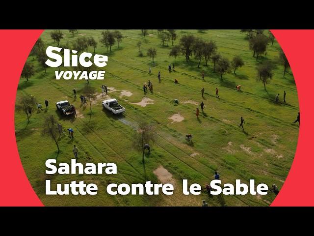 Sahara : Disparition de l'Eau et lutte contre le Sable I SLICE VOYAGE