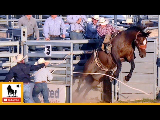 Bronc Riding  2023 West Texas Ranch Rodeo | Friday