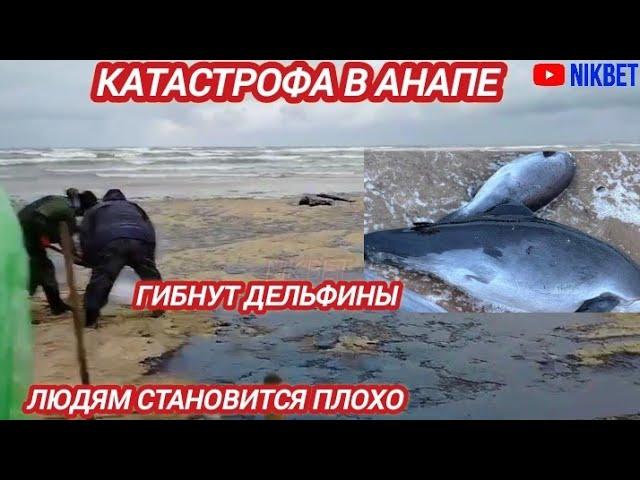 ‼️КАТАСТРОФА В АНАПЕ. ИТОГИ ДНЯ 23 ДЕКАБРЯ