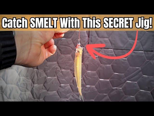 How to Catch TONS of Smelt Through The ICE For Bait (or for dinner!)