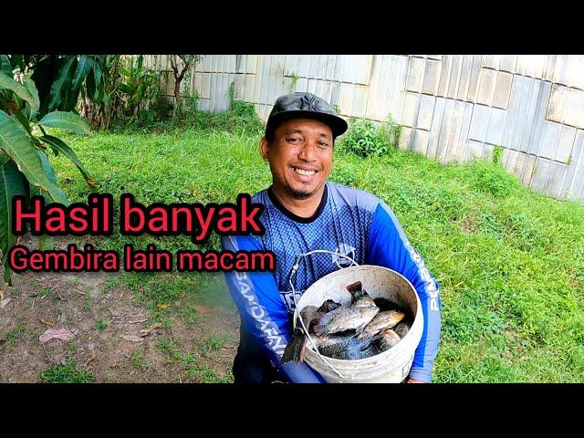 Cari Ikan Talapia Untuk Pekasam Tapi Dapat Lain