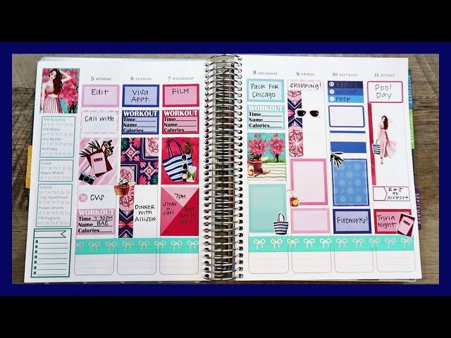 Plan With Me | Indy & Ivy Ink | Erin Condren Vertical Life Planner