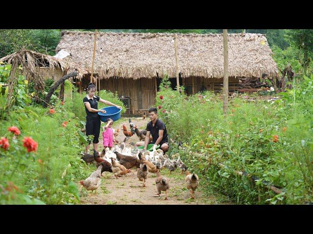 Mountain Family Farm Life, Growing & Harvesting Vegetables, Animal Care, Rustic Cooking