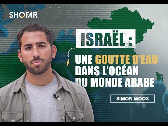 Israël : une goutte d’eau dans l’océan du monde arabe.