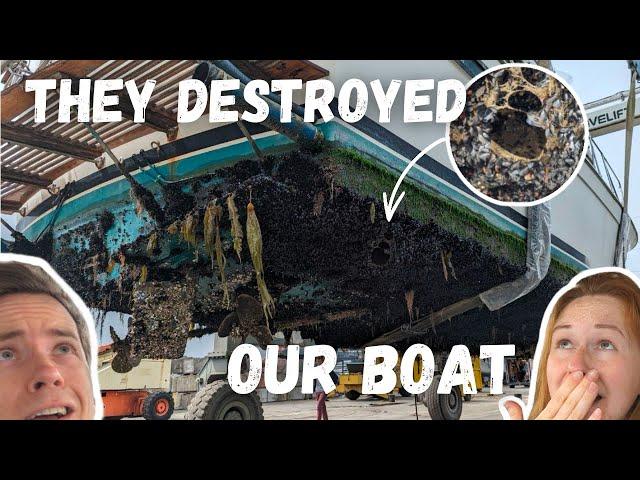 First Wash in 10 Years | Satisfying Barnacle Removal | Boat Detailing