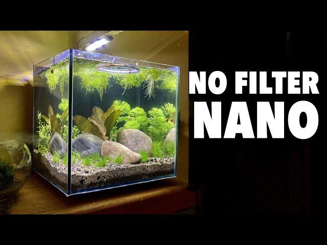 Aquascaping A No Filter, No Ferts, No co2 Nano Planted Aquarium