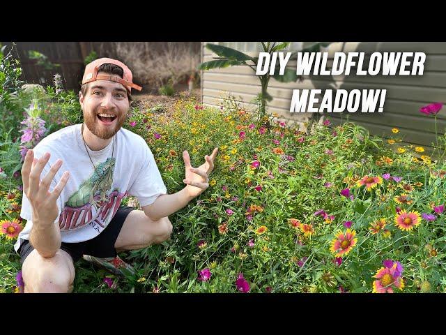 How To Create A Wildflower Meadow in 1 Year!! Native Garden Makeover! DIY No Lawn